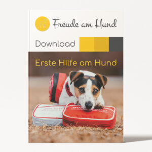 Erste Hilfe am Hund Seminar