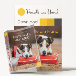 DUO: Erste Hilfe Taschenbuch und Seminar (Download)