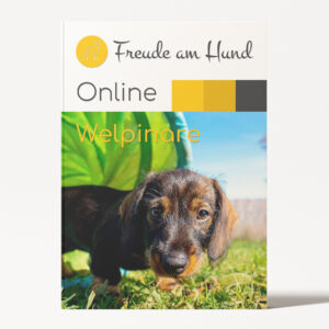 Angebot: Alle Welpinare