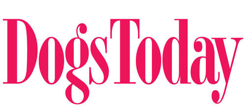 freude-am-hund-academy-dogs-today