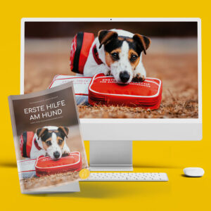DUO: Erste Hilfe Taschenbuch und Online-Seminar
