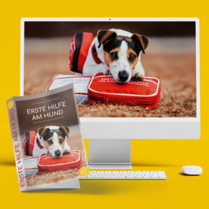 DUO: Erste Hilfe Taschenbuch und Online-Seminar